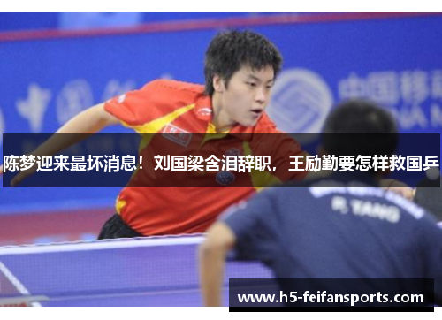 陈梦迎来最坏消息！刘国梁含泪辞职，王励勤要怎样救国乒